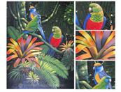 parrot painting from photo VI
